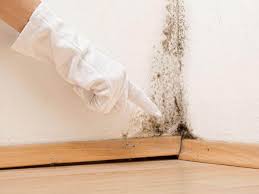 Mold Remediation for Rental Properties in Glencoe, IL